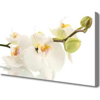 Obraz Obraz na plátně Květiny Rostlina Příroda 125x50 cm