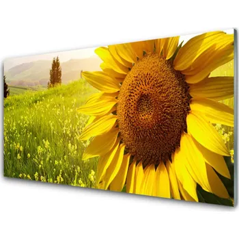 Obraz Obraz na skle Slunečnice Květ Rostlina 100x50 cm 2 Přívěsky