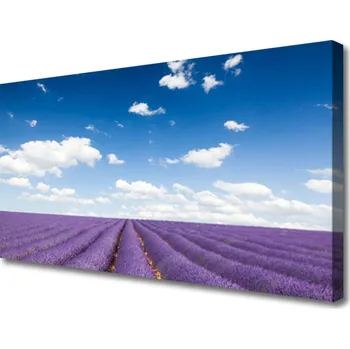 Obraz Obraz na plátně Louka Květiny Příroda Rostlina 125x50 cm