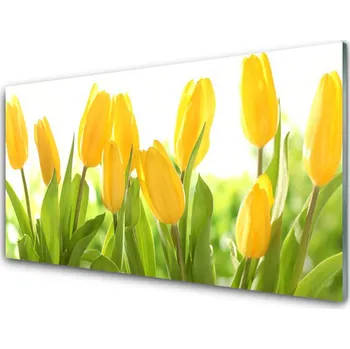Obraz Obraz na skle Tulipány Květiny Rostlina 140x70 cm 2 Přívěsky