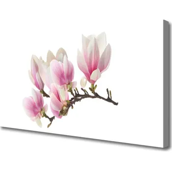 Obraz Obraz na plátně Květiny Rostlina Příroda 125x50 cm