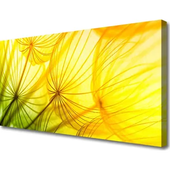 Obraz Obraz na plátně Pampelišky Květiny Příroda 100x50 cm