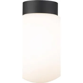 Stropní svítidlo s kulatým stínidlem ARCTURUS, černá