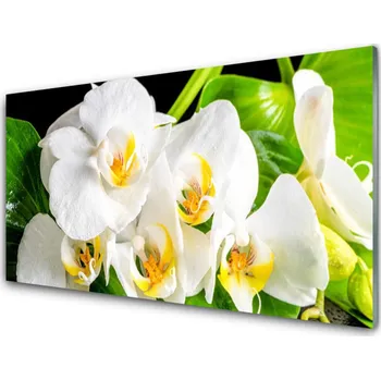Obraz Obraz na skle Orchidej Květiny Příroda 125x50 cm 2 Přívěsky