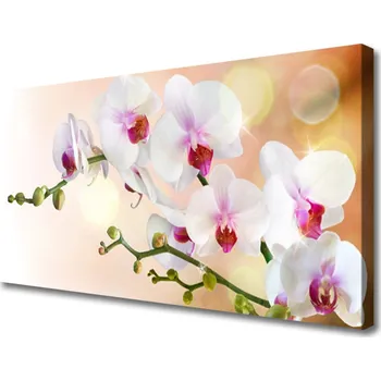 Obraz Obraz na plátně Květiny Rostlina Příroda 120x60 cm