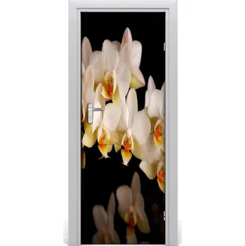 Fototapeta Fototapeta samolepící Orchidej 75x205 cm