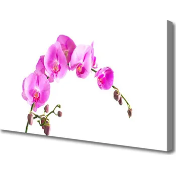 Obraz Obraz na plátně Květiny Rostlina Příroda 120x60 cm