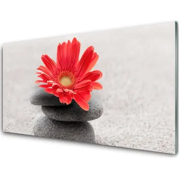 Obraz Obraz na skle Květ Kameny Umění 100x50 cm 2 Přívěsky