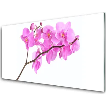 Obraz Obraz na skle Květiny Rostlina Příroda 125x50 cm 2 Přívěsky