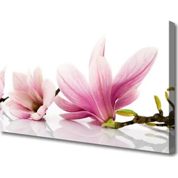 Obraz Obraz na plátně Květiny Rostlina Příroda 100x50 cm