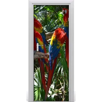 Fototapeta Samolepící fototapeta na dveře Papoušek ara 95x205 cm