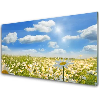 Obraz Obraz na skle Louka Sedmikrásky Příroda 125x50 cm 2 Přívěsky