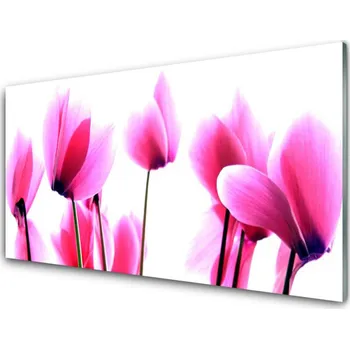 Obraz Obraz na skle Květíny Rostlina 125x50 cm 2 Přívěsky