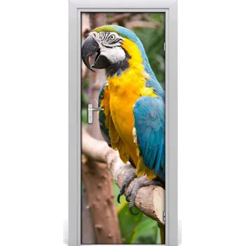 Fototapeta Samolepící fototapeta na dveře Papoušek ara 85x205 cm