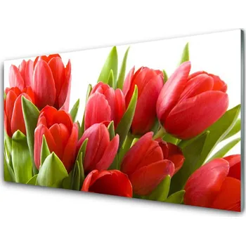 Obraz Obraz na skle Tulipány Květiny Rostlina 125x50 cm 4 Přívěsky