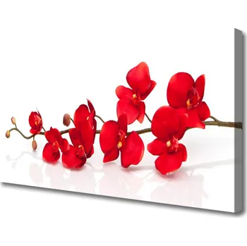 Obraz Obraz na plátně Květiny Rostlina Příroda 120x60 cm