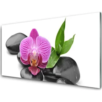 Obraz Obraz na skle Květ Kameny Umění 125x50 cm 2 Přívěsky