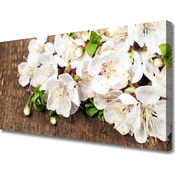 Obraz Obraz na plátně Květiny Rostlina Příroda 120x60 cm