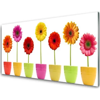 Obraz Obraz na skle Květiny Rostlina Příroda 125x50 cm 2 Přívěsky