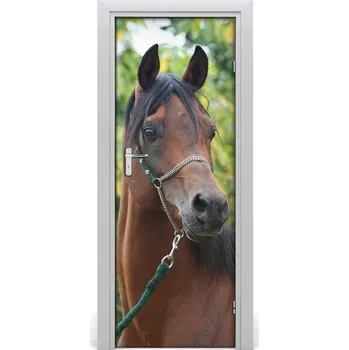 Fototapeta Samolepící fototapeta na dveře Kůň portrét 85x205 cm