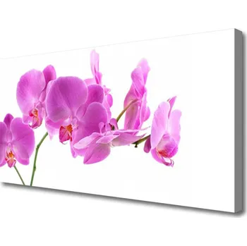 Obraz Obraz na plátně Květiny Rostlina Příroda 120x60 cm