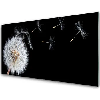 Obraz Obraz na skle Pampeliška Květiny Příroda 100x50 cm 2 Přívěsky