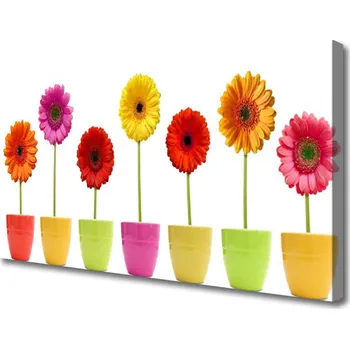 Obraz Obraz na plátně Květiny Rostlina Příroda 125x50 cm