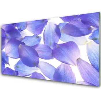 Obraz Obraz na skle Plátky Rostlina Příroda 100x50 cm 2 Přívěsky