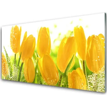 Obraz Obraz na skle Tulipány Květiny Rostlina 125x50 cm 2 Přívěsky