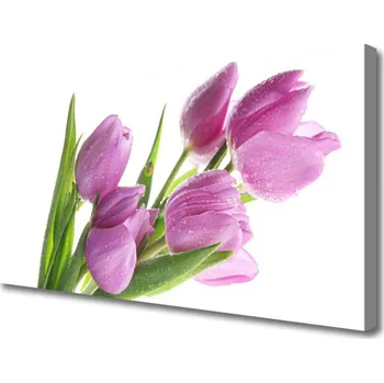 Obraz Obraz na plátně Tulipány Květiny Rostlina 125x50 cm