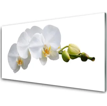 Obraz Obraz na skle Květiny Rostlina Příroda 120x60 cm 2 Přívěsky