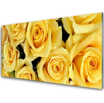 Obraz Obraz na skle Růže Květiny Rostlina 120x60 cm 4 Přívěsky