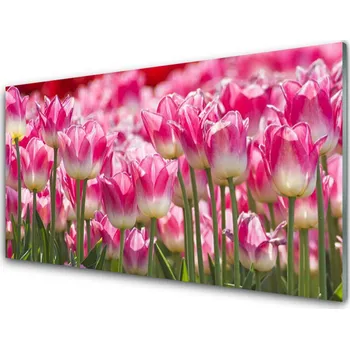 Obraz Plexisklo-obraz Tulipány Květiny Příroda 140x70 cm 4 Přívěsky