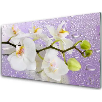Obraz Obraz na skle Květiny Rostlina Příroda 125x50 cm 2 Přívěsky