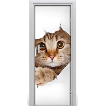 Fototapeta Samolepící fototapeta na dveře Kočka 85x205 cm