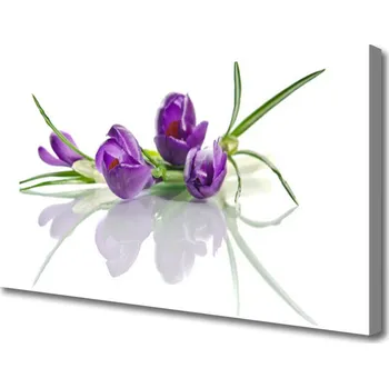 Obraz Obraz na plátně Květiny Rostlina Příroda 120x60 cm