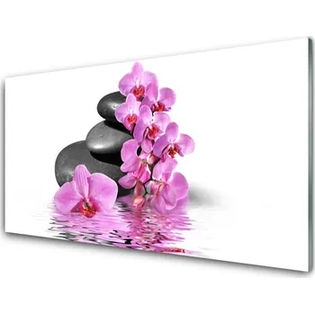 Obraz Obraz na skle Květ Kameny Rostlina 125x50 cm 2 Přívěsky
