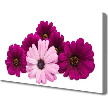 Obraz Obraz na plátně Květiny Rostlina Příroda 125x50 cm