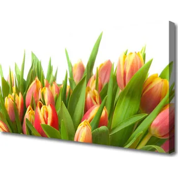 Obraz Obraz na plátně Tulipány Květiny Rostlina 125x50 cm