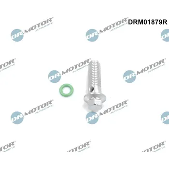 Olejové čerpadlo Opravná sada, olejové čerpadlo Dr.Motor Automotive DRM01879R