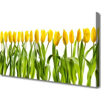 Obraz Obraz na plátně Tulipány Květiny Příroda 120x60 cm