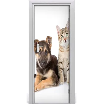Fototapeta Samolepící fototapeta na dveře Pes a kočka 85x205 cm