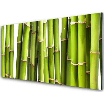 Obraz Obraz na skle Bambus Rostlina Příroda 120x60 cm 4 Přívěsky