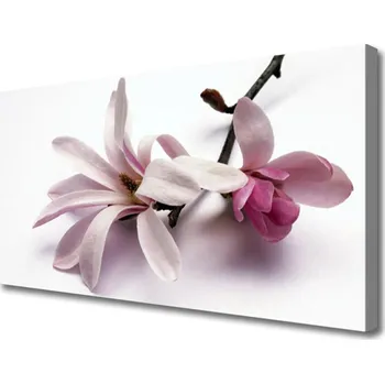 Obraz Obraz na plátně Květiny Rostlina Příroda 100x50 cm