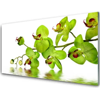 Obraz Obraz na skle Květiny Rostlina Příroda 100x50 cm 2 Přívěsky
