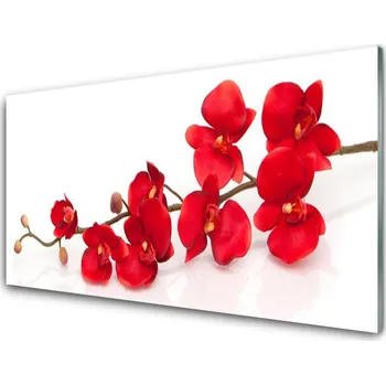 Obraz Obraz na skle Květiny Rostlina 125x50 cm 2 Přívěsky