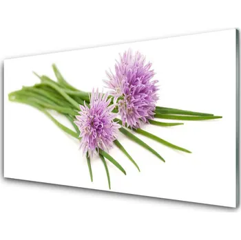 Obraz Obraz na skle Květiny Rostlina Příroda 125x50 cm 2 Přívěsky