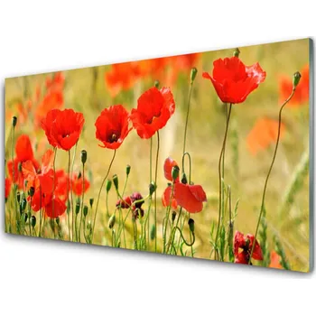 Obraz Obraz na skle Máky Rostlina Příroda 125x50 cm 2 Přívěsky