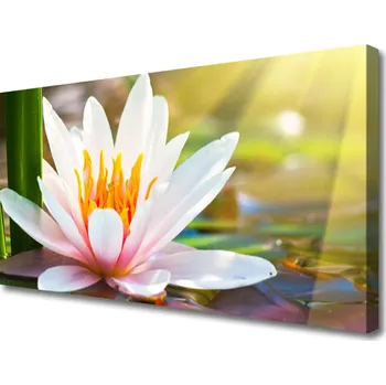 Obraz Obraz na plátně Květiny Rostlina Příroda 100x50 cm