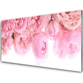 Obraz Obraz na skle Růže Květiny Rostlina 125x50 cm 2 Přívěsky